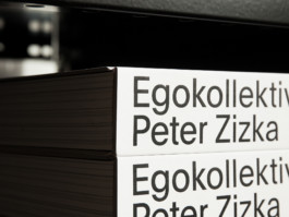 Egokollektiv