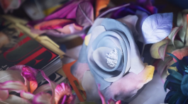 DONATA WENDERS ZIZKA 