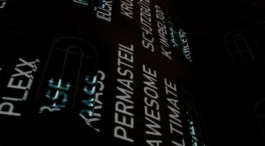 Paulskirche, deutsche Wiedervereinigung, Peter Zizka