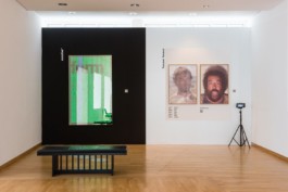 MAK FRANKFURT, Kuratierung Peter ZIzka